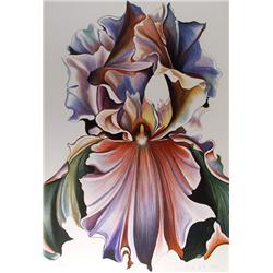 Lowell Blair Nesbitt, Iris, Serigraph