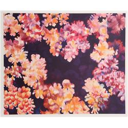 Joan Melnick, Coral, Lithograph
