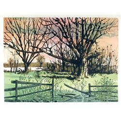 Don Mailer, Landscape, Lithograph 