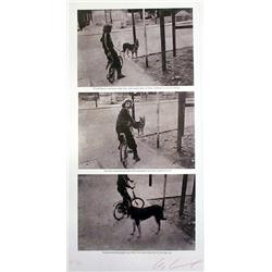 Les Levine, Bicycle, Dog, Lithograph