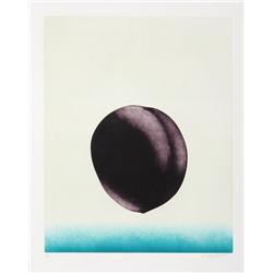 Hank Laventhol, Plum, Aquatint Etching