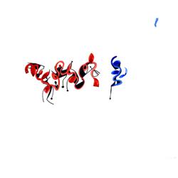 Sacha Kolin, Minimilist Ink Drawing 