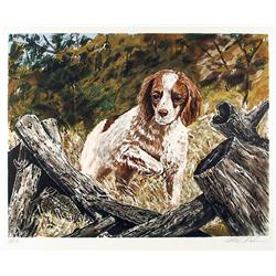 Allen Friedman, Hunting Spaniel, Lithograph