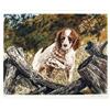 Image 1 : Allen Friedman, Hunting Spaniel, Lithograph