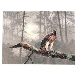Chris Forrest, Hawk, Lithograph