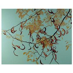 John D'Orazio, Tree, Serigraph