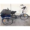 Image 2 : GREY 5 SPEED TRICYCLE