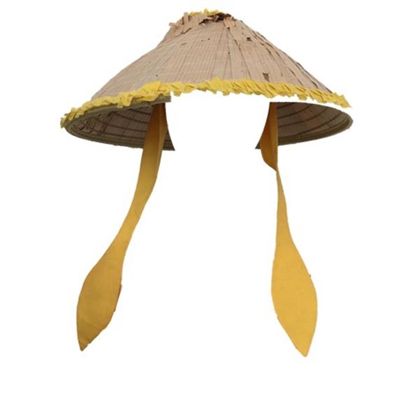 Mortal Kombat Raiden Hat Movie Props