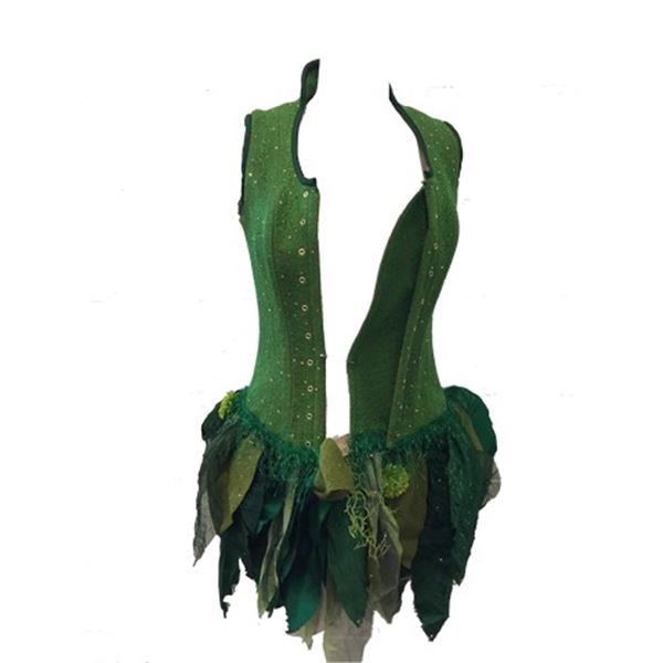 Once Upon a Time TV  Tinkerbell (Rose Mclver) Costume