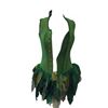 Image 1 : Once Upon a Time TV  Tinkerbell (Rose Mclver) Costume