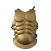 Image 1 : Spartacus Breastplate Armor Movie Costumes