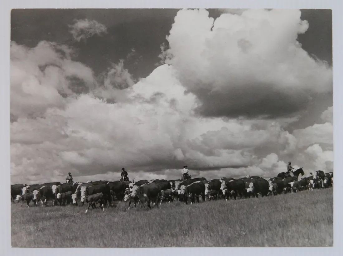 Arthur Rothstein vintage FSA photograph