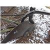 Image 4 : Horse Breaking Plow