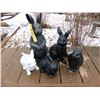 Image 1 : Bunnies- Garden Decor