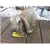 Image 1 : Large Bunny, Heavy- Garden Decor