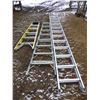 Image 1 : 20' Extension ladder, 8' Step Ladder, and 6' Step Ladder