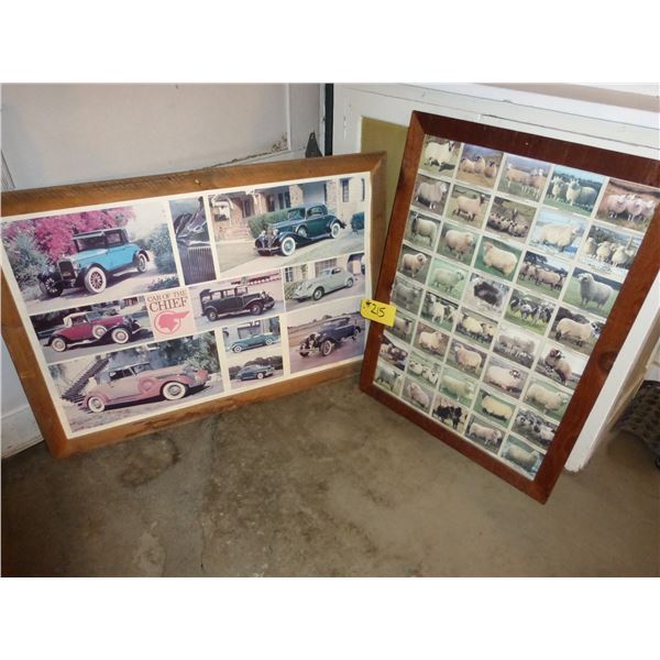 Sheep Picture and Antique Car Picture