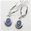 Image 2 : Silver Tanzanite Earrings (~Size )( (~length inches), Suggested Retail Value $240