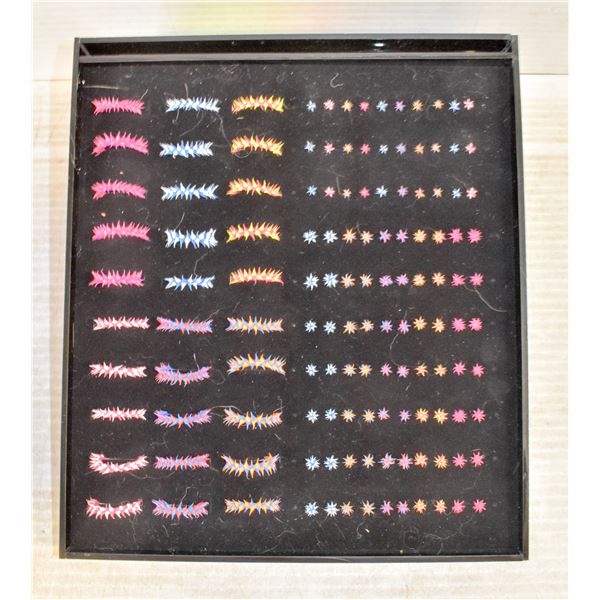 DISPLAY OF PORCUPINE TOE RINGS AND EARRINGS