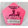 Image 1 : IRON MAIDEN BACKSTAGE PASS