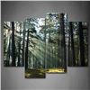 Image 1 : NEW 4 PIECE SUNSHINE THROUGH FOREST WALL ART