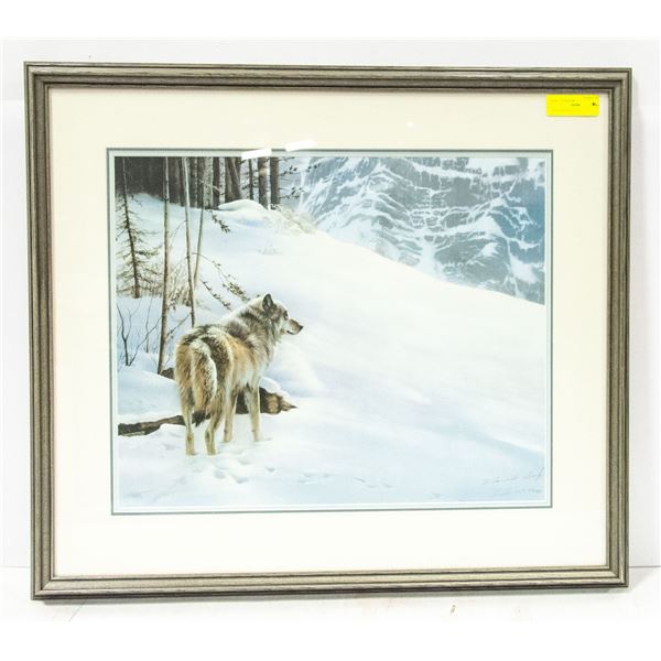 FRAMED MAURADE BAYNTON KANANASKIS LONE WOLF