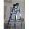 Image 2 : Werner Heavy Duty Step Ladder