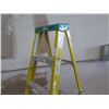 Image 2 : Werner Electro-Master Heavy Duty Ladder FS106S