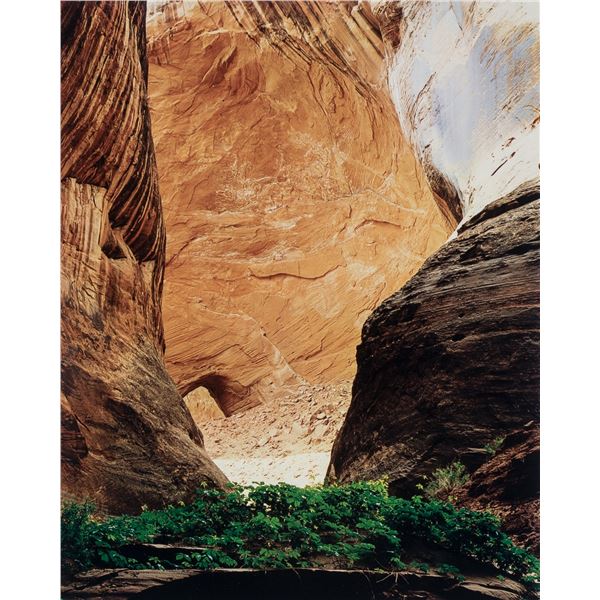 After Eliot Furness Porter - Glen Canyon photos.