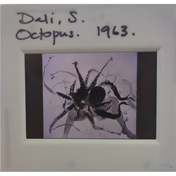 Salvador Dali vintage negatives.