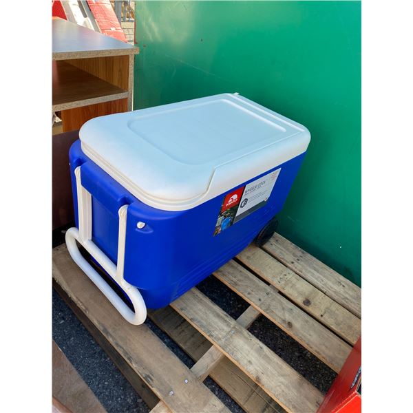 Igloo cooler and ice packs