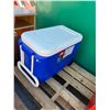 Image 1 : Igloo cooler and ice packs