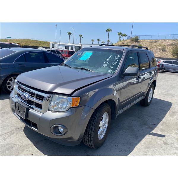 2010 Ford Escape XLT