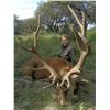 Image 6 : RED STAG, BLACK BUCK ANTELOPE AND DOVE HUNT IN ARGENTINA FOR TWO HUNTERS SIX DAY STAY