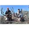 Image 7 : Mule Deer Hunt in Colorado Unit’s 77, 78 & 771 for 1 hunter Non-Guided