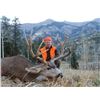 Image 8 : Mule Deer Hunt in Colorado Unit’s 77, 78 & 771 for 1 hunter Non-Guided