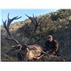 Image 8 : 3 Day Amazing Spanish Hunt for One Iberian Red Deer (up to 190 SCI) and One European Wild Boar for 1