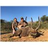 Image 1 : 9 Day Nyala and Sable Bull Safari for 2 Hunters with Monkane Safaris includes 1 Nyala Bull and 1 Sab