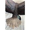 Image 6 : Swooping American Bald Eagle Bronze Metal Sculpture 30”x28”
