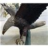 Image 7 : Swooping American Bald Eagle Bronze Metal Sculpture 30”x28”