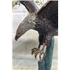 Image 8 : Swooping American Bald Eagle Bronze Metal Sculpture 30”x28”