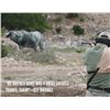 Image 7 : SAAM(TM) Precision & Safari/Hunt Combo Course for Two Hunters