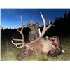 Image 1 : New Mexico Archery Elk Hunt in Game Unit 2