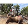 Image 3 : New Mexico Archery Elk Hunt in Game Unit 2