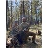 Image 4 : New Mexico Archery Elk Hunt in Game Unit 2