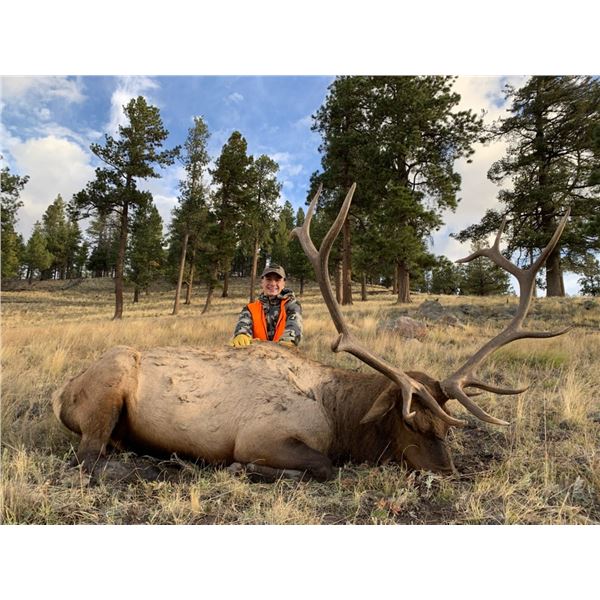 New Mexico Elk Hunt in Game Unit 6C