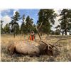 Image 1 : New Mexico Elk Hunt in Game Unit 6C