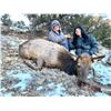 Image 3 : New Mexico Cow Elk Hunt in Game Unit 6C