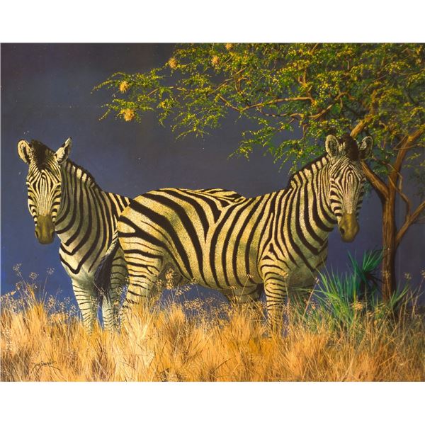 “Zebra Storm” Original Oil on Canvas by Zimbabwean wildlife artist Jan Stander.