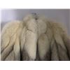 Image 3 : Blue Fox Fur Coat